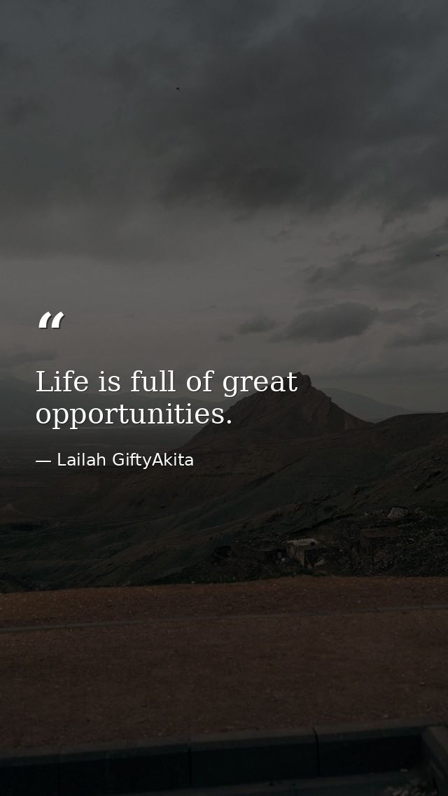 Life is full of great opportunities. — Lailah GiftyAkita