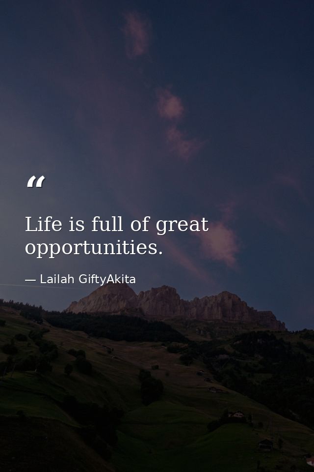 Life is full of great opportunities. — Lailah GiftyAkita