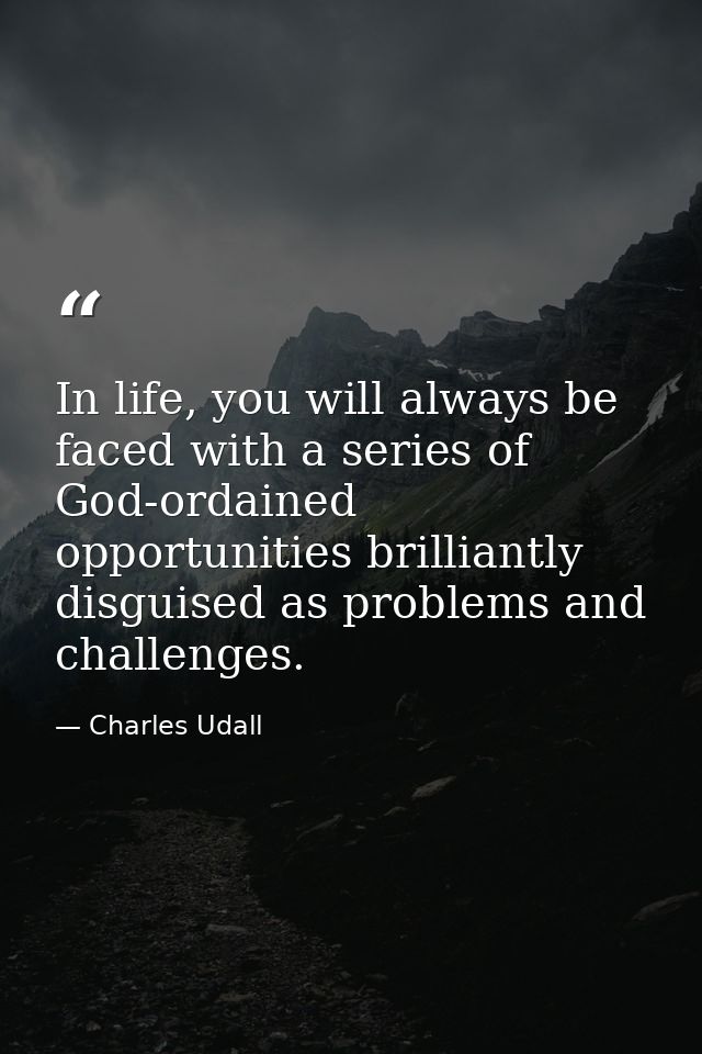 In life, you will always be faced with a series of God-ordained opportunities brilliantly disguised as problems and chal — Charles Udall