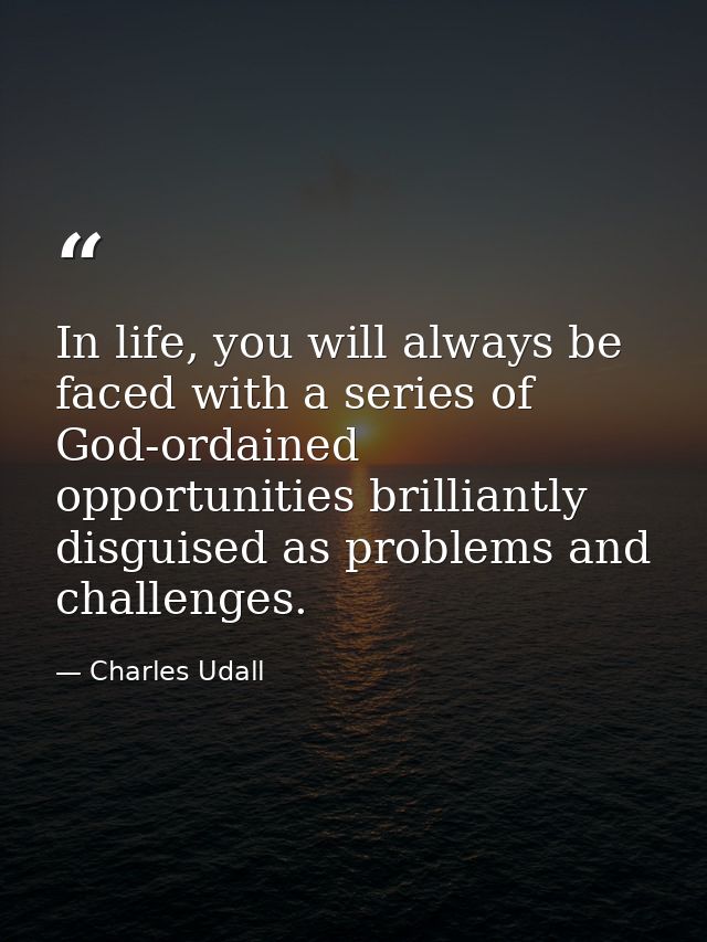 In life, you will always be faced with a series of God-ordained opportunities brilliantly disguised as problems and chal — Charles Udall