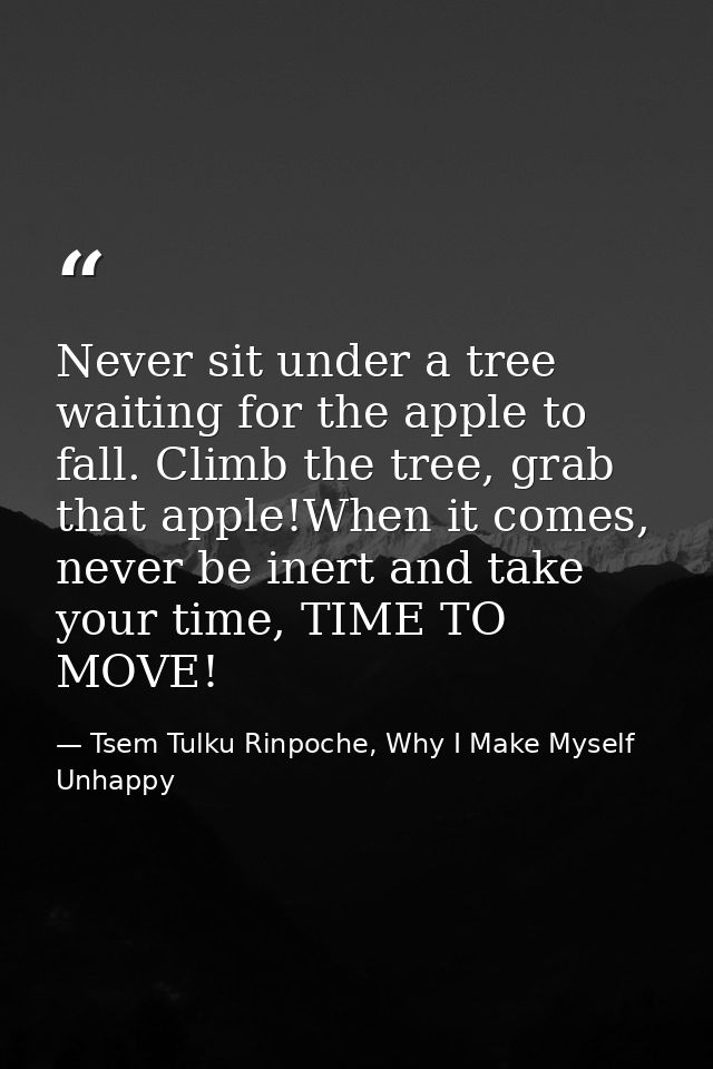 Never sit under a tree waiting for the apple to fall. Climb the tree, grab that apple!When it comes, never be inert and  — Tsem Tulku Rinpoche, Why I Make Myself Unhappy