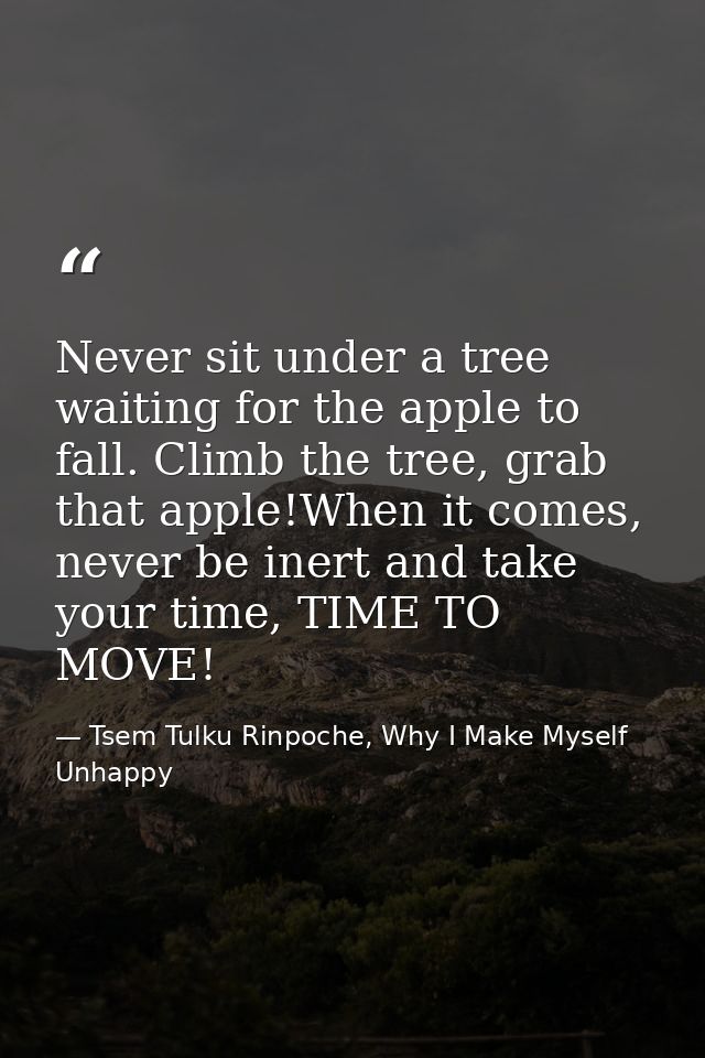 Never sit under a tree waiting for the apple to fall. Climb the tree, grab that apple!When it comes, never be inert and  — Tsem Tulku Rinpoche, Why I Make Myself Unhappy