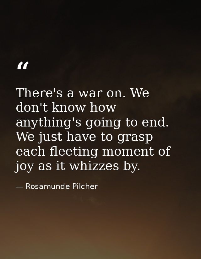 There's a war on. We don't know how anything's going to end. We just have to grasp each fleeting moment of joy as it whi — Rosamunde Pilcher