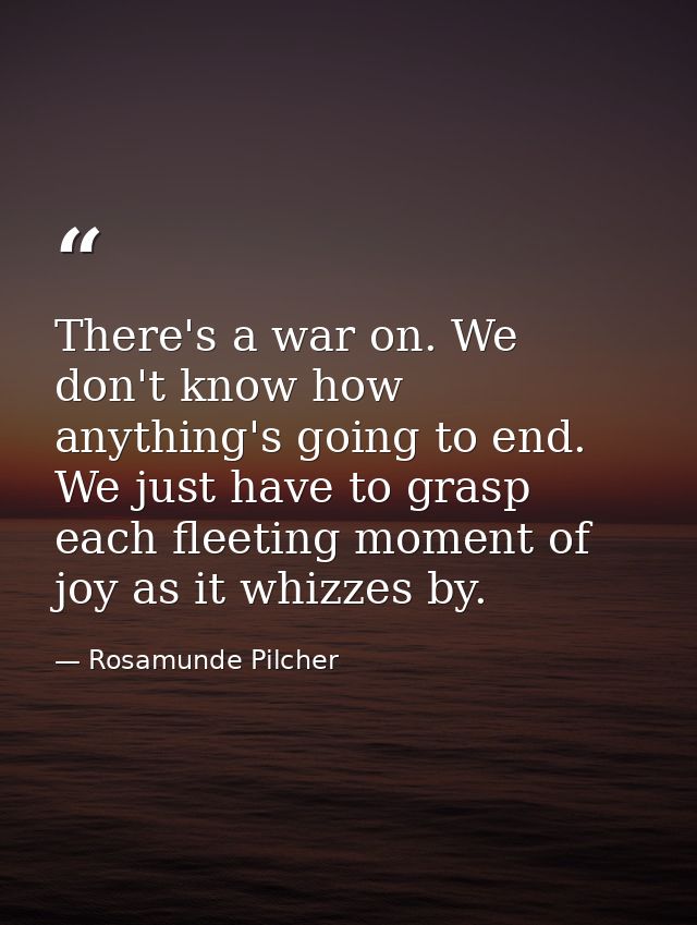 There's a war on. We don't know how anything's going to end. We just have to grasp each fleeting moment of joy as it whi — Rosamunde Pilcher