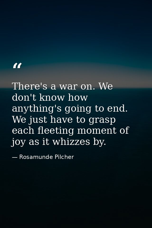 There's a war on. We don't know how anything's going to end. We just have to grasp each fleeting moment of joy as it whi — Rosamunde Pilcher