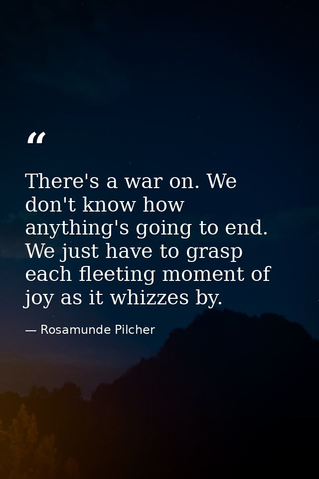 There's a war on. We don't know how anything's going to end. We just have to grasp each fleeting moment of joy as it whi — Rosamunde Pilcher