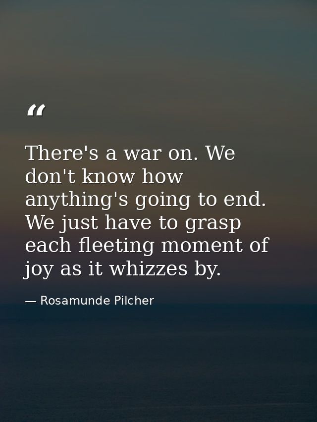 There's a war on. We don't know how anything's going to end. We just have to grasp each fleeting moment of joy as it whi — Rosamunde Pilcher