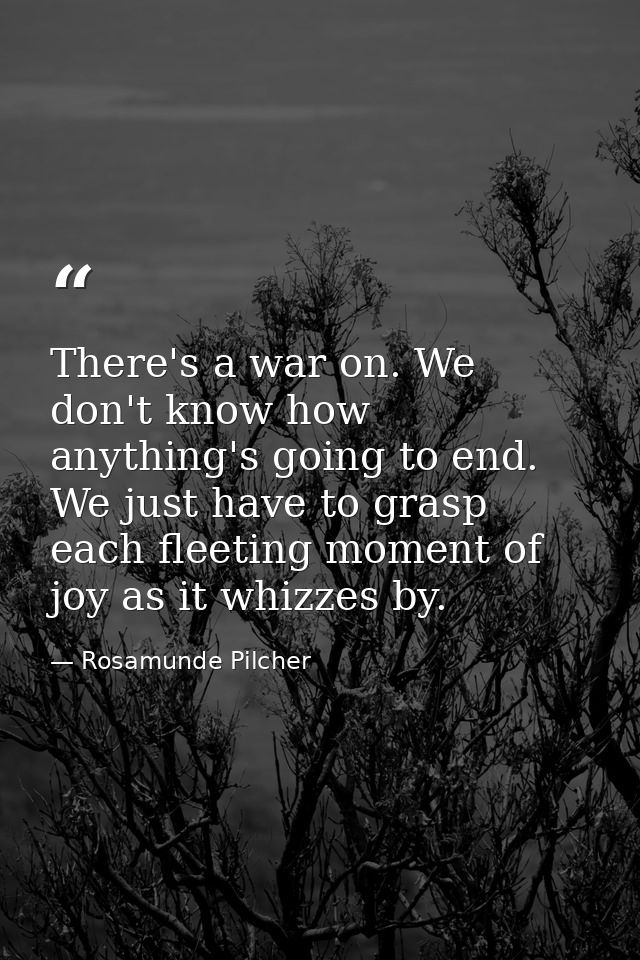 There's a war on. We don't know how anything's going to end. We just have to grasp each fleeting moment of joy as it whi — Rosamunde Pilcher