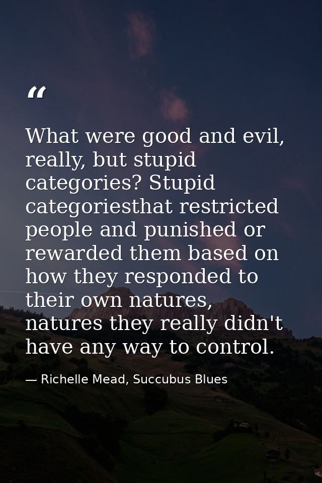 What were good and evil, really, but stupid categories? Stupid categoriesthat restricted people and punished or rewarded — Richelle Mead, Succubus Blues