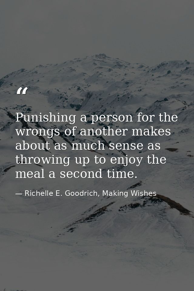 Punishing a person for the wrongs of another makes about as much sense as throwing up to enjoy the meal a second time. — Richelle E. Goodrich, Making Wishes