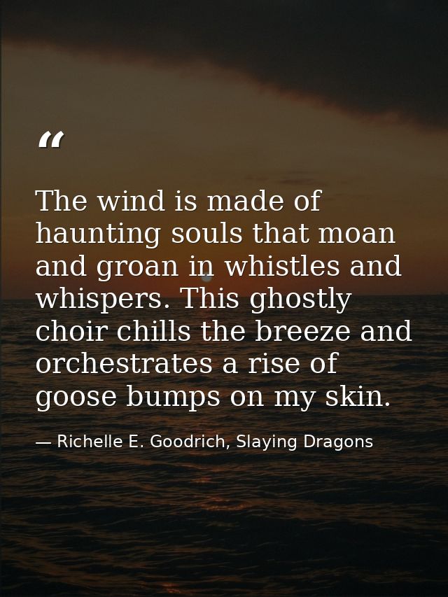 The wind is made of haunting souls that moan and groan in whistles and whispers. This ghostly choir chills the breeze an — Richelle E. Goodrich, Slaying Dragons