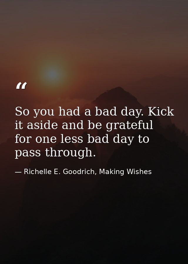 So you had a bad day. Kick it aside and be grateful for one less bad day to pass through. — Richelle E. Goodrich, Making Wishes