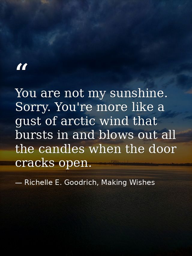 You are not my sunshine. Sorry. You're more like a gust of arctic wind that bursts in and blows out all the candles when — Richelle E. Goodrich, Making Wishes