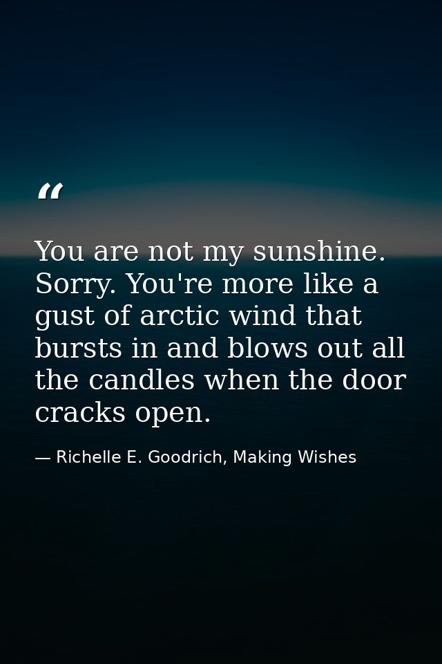 You are not my sunshine. Sorry. You're more like a gust of arctic wind that bursts in and blows out all the candles when — Richelle E. Goodrich, Making Wishes