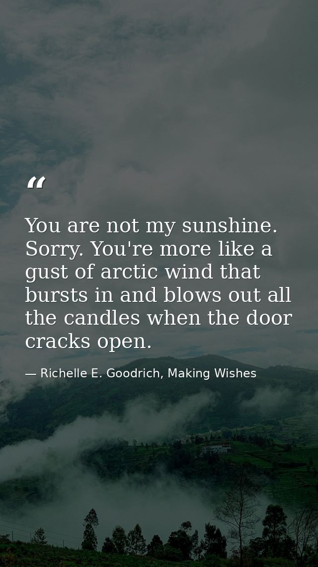You are not my sunshine. Sorry. You're more like a gust of arctic wind that bursts in and blows out all the candles when — Richelle E. Goodrich, Making Wishes