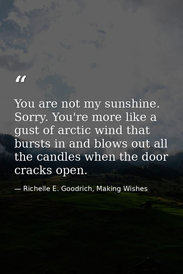 You are not my sunshine. Sorry. You're more like a gust of arctic wind that bursts in and blows out all the candles when — Richelle E. Goodrich, Making Wishes