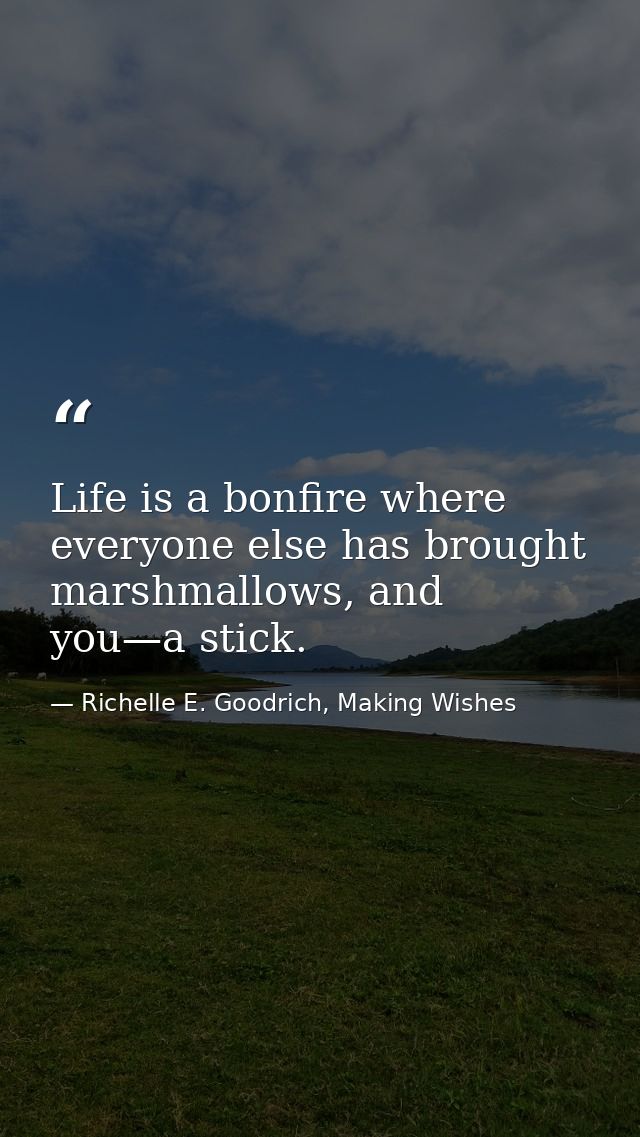 Life is a bonfire where everyone else has brought marshmallows, and you—a stick. — Richelle E. Goodrich, Making Wishes