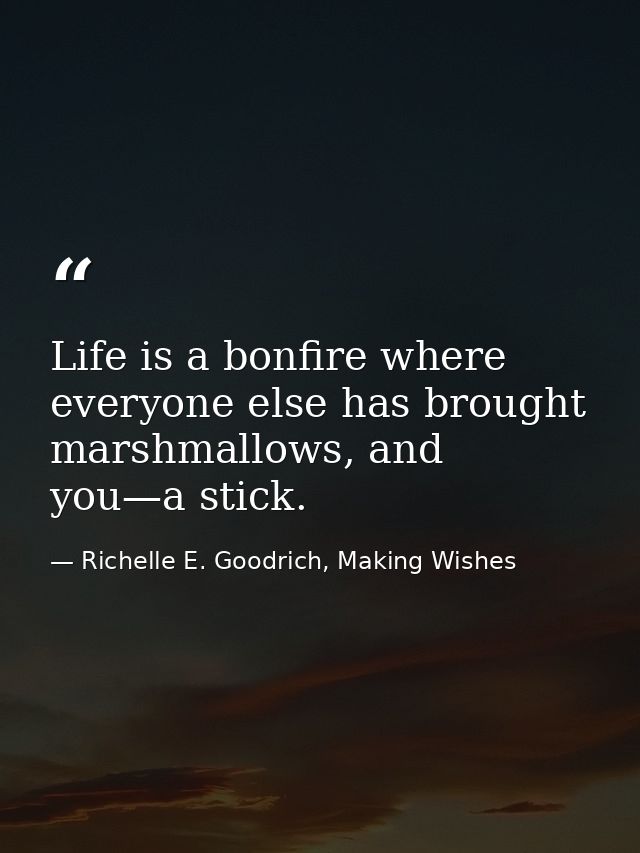 Life is a bonfire where everyone else has brought marshmallows, and you—a stick. — Richelle E. Goodrich, Making Wishes