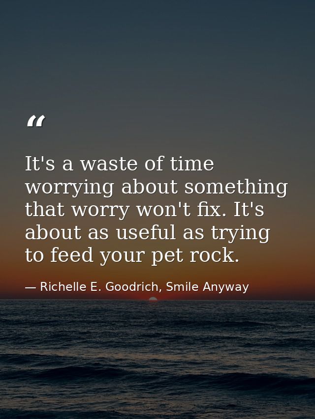 It's a waste of time worrying about something that worry won't fix. It's about as useful as trying to feed your pet rock — Richelle E. Goodrich, Smile Anyway