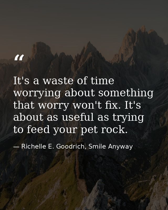 It's a waste of time worrying about something that worry won't fix. It's about as useful as trying to feed your pet rock — Richelle E. Goodrich, Smile Anyway