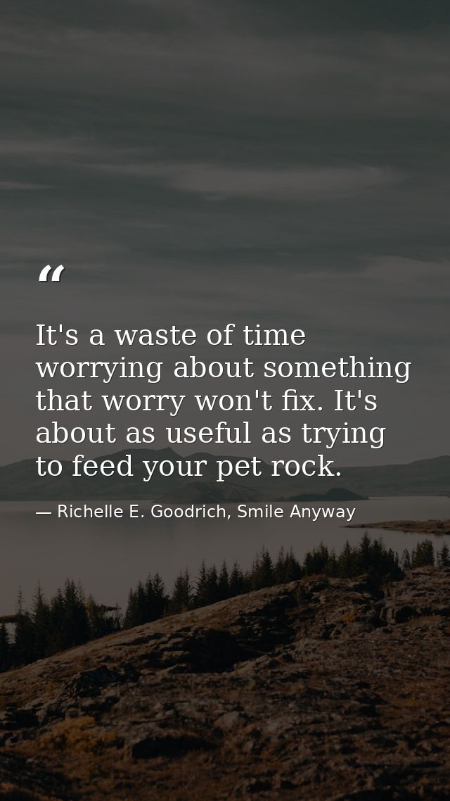 It's a waste of time worrying about something that worry won't fix. It's about as useful as trying to feed your pet rock — Richelle E. Goodrich, Smile Anyway