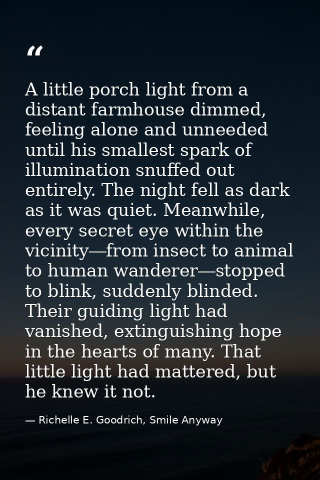 A little porch light from a distant farmhouse dimmed, feeling alone and unneeded until his smallest spark of illuminatio — Richelle E. Goodrich, Smile Anyway