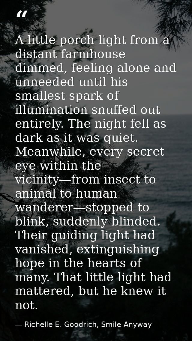 A little porch light from a distant farmhouse dimmed, feeling alone and unneeded until his smallest spark of illuminatio — Richelle E. Goodrich, Smile Anyway