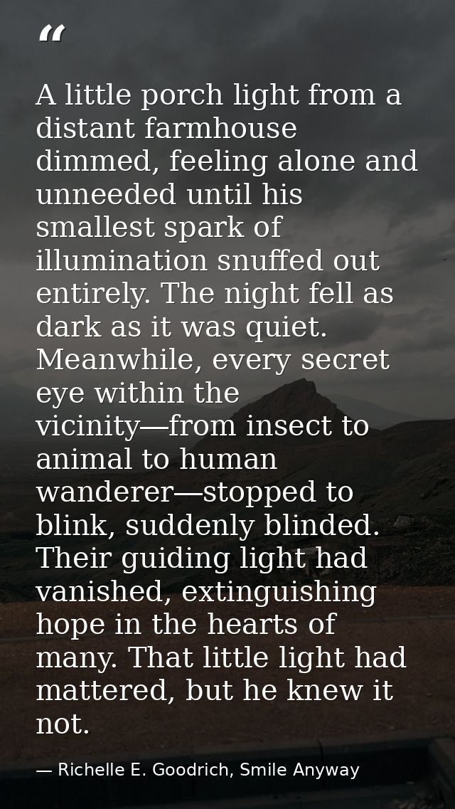 A little porch light from a distant farmhouse dimmed, feeling alone and unneeded until his smallest spark of illuminatio — Richelle E. Goodrich, Smile Anyway