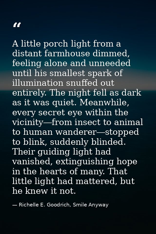 A little porch light from a distant farmhouse dimmed, feeling alone and unneeded until his smallest spark of illuminatio — Richelle E. Goodrich, Smile Anyway