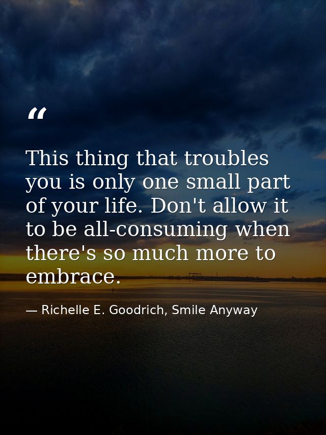 This thing that troubles you is only one small part of your life. Don't allow it to be all-consuming when there's so muc — Richelle E. Goodrich, Smile Anyway