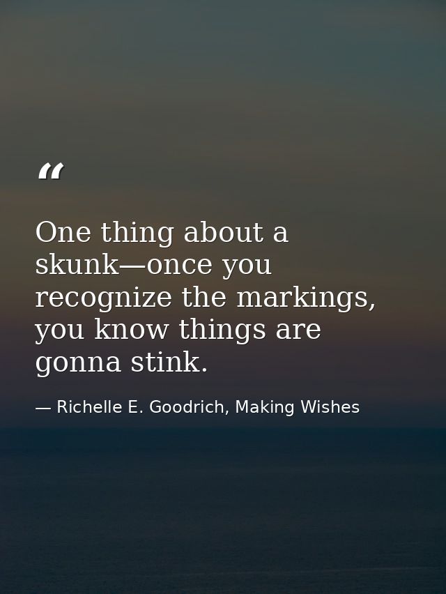 One thing about a skunk—once you recognize the markings, you know things are gonna stink. — Richelle E. Goodrich, Making Wishes