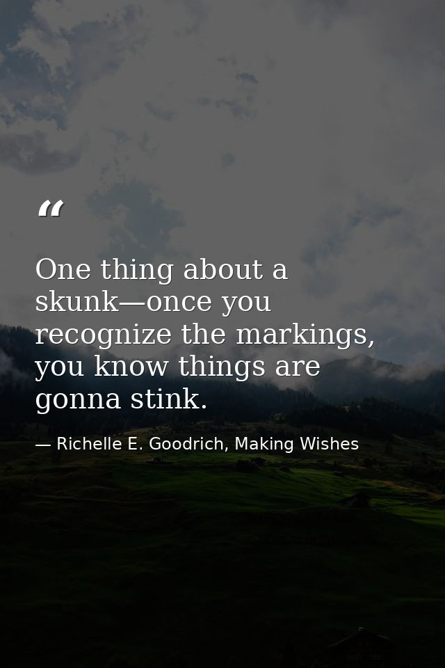 One thing about a skunk—once you recognize the markings, you know things are gonna stink. — Richelle E. Goodrich, Making Wishes
