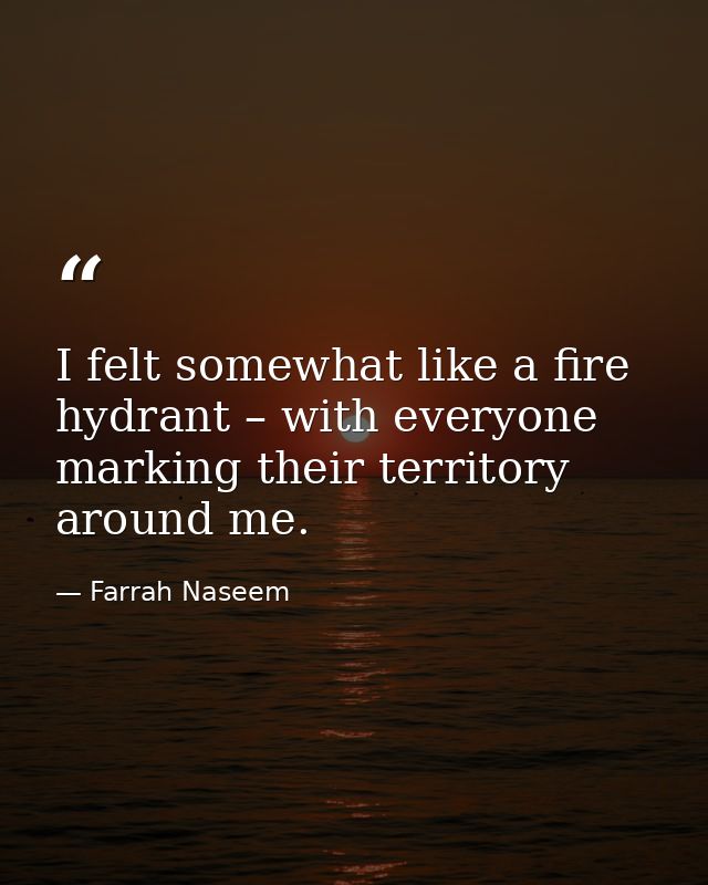 I felt somewhat like a fire hydrant – with everyone marking their territory around me. — Farrah Naseem