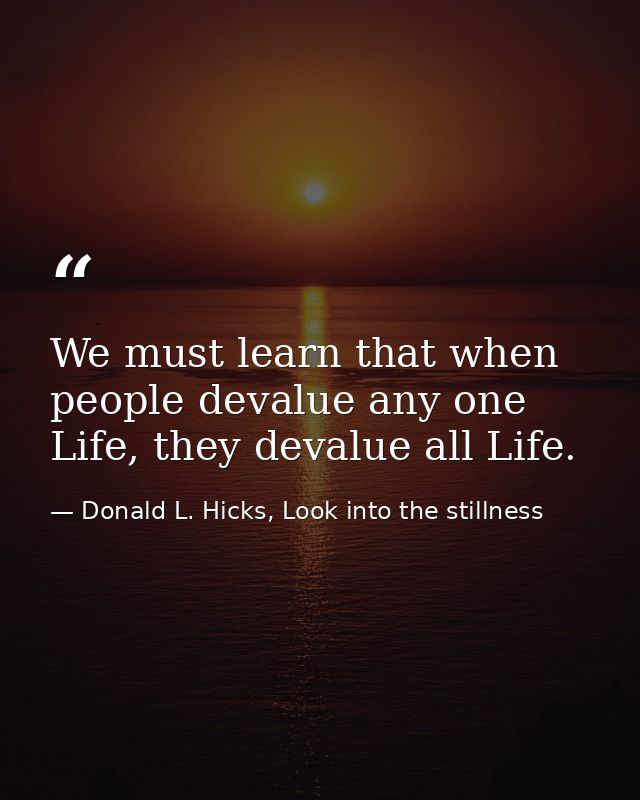 We must learn that when people devalue any one Life, they devalue all Life. — Donald L. Hicks, Look into the stillness