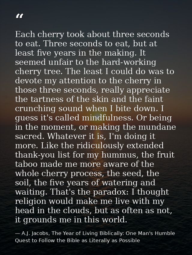 Each cherry took about three seconds to eat. Three seconds to eat, but at least five years in the making. It seemed unfa — A.J. Jacobs, The Year of Living Biblically: One Man's Humble Quest to Follow the Bible as Literally as Possible