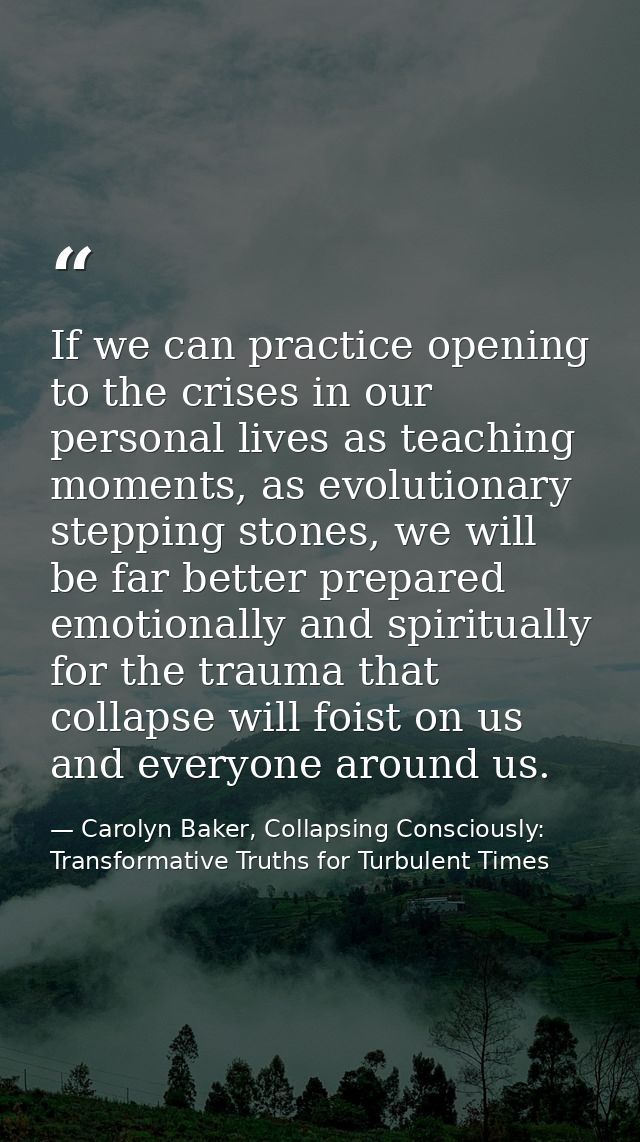 If we can practice opening to the crises in our personal lives as teaching moments, as evolutionary stepping stones, we  — Carolyn Baker, Collapsing Consciously: Transformative Truths for Turbulent Times