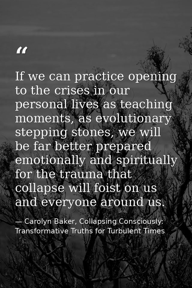 If we can practice opening to the crises in our personal lives as teaching moments, as evolutionary stepping stones, we  — Carolyn Baker, Collapsing Consciously: Transformative Truths for Turbulent Times