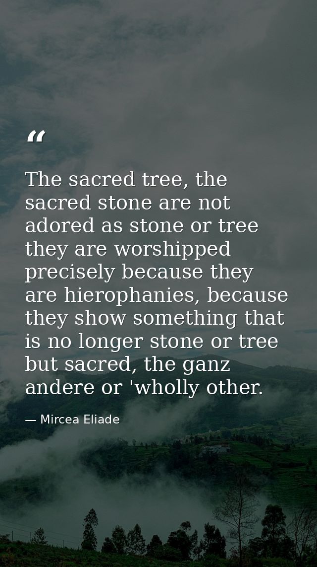 The sacred tree, the sacred stone are not adored as stone or tree they are worshipped precisely because they are hieroph — Mircea Eliade