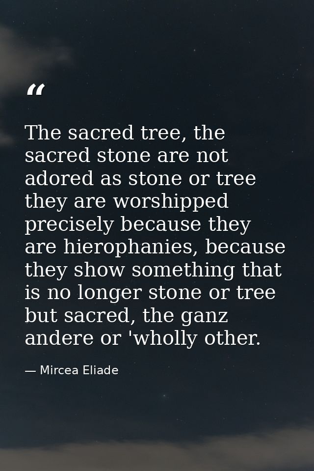 The sacred tree, the sacred stone are not adored as stone or tree they are worshipped precisely because they are hieroph — Mircea Eliade