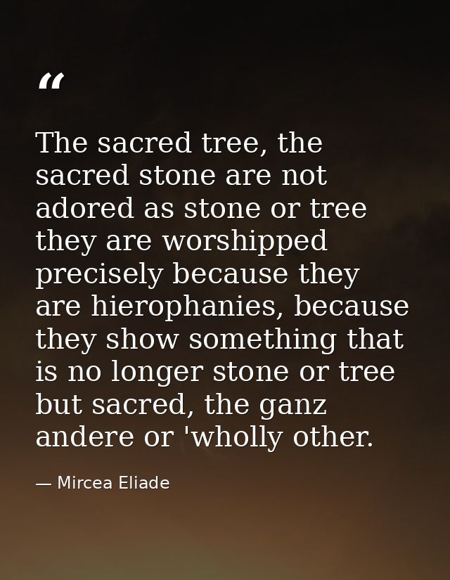The sacred tree, the sacred stone are not adored as stone or tree they are worshipped precisely because they are hieroph — Mircea Eliade