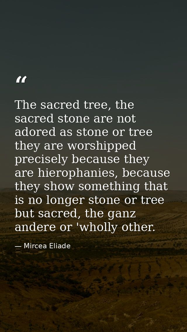 The sacred tree, the sacred stone are not adored as stone or tree they are worshipped precisely because they are hieroph — Mircea Eliade