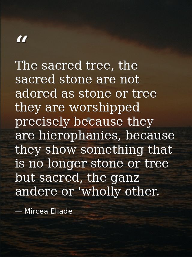 The sacred tree, the sacred stone are not adored as stone or tree they are worshipped precisely because they are hieroph — Mircea Eliade