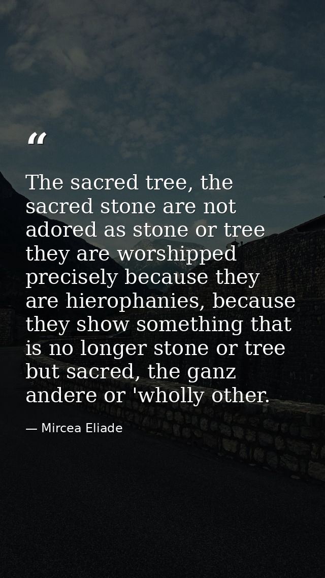 The sacred tree, the sacred stone are not adored as stone or tree they are worshipped precisely because they are hieroph — Mircea Eliade