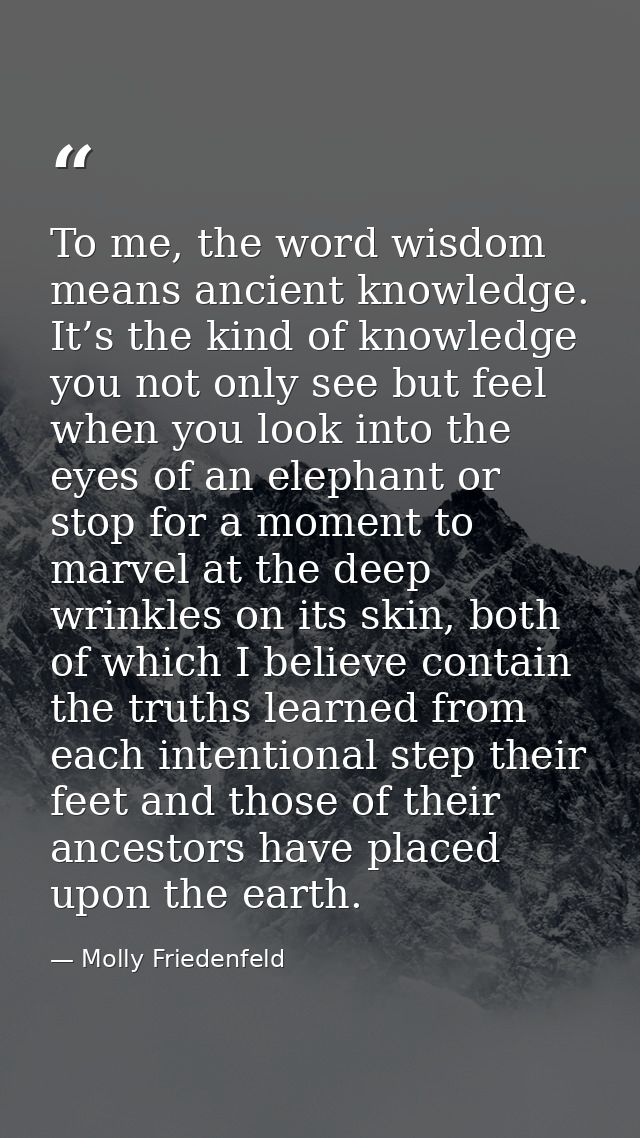 To me, the word wisdom means ancient knowledge. It’s the kind of knowledge you not only see but feel when you look into  — Molly Friedenfeld