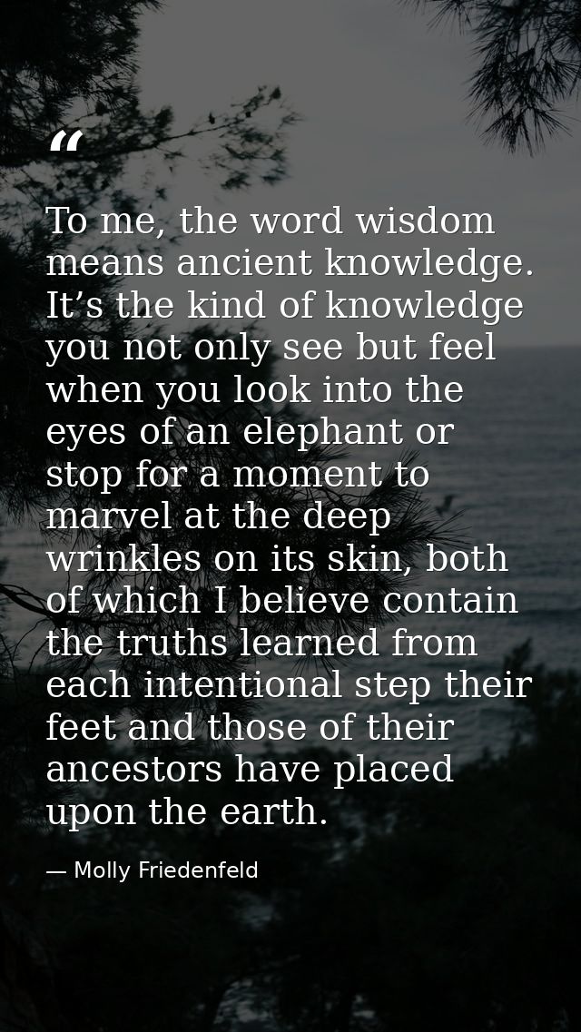 To me, the word wisdom means ancient knowledge. It’s the kind of knowledge you not only see but feel when you look into  — Molly Friedenfeld
