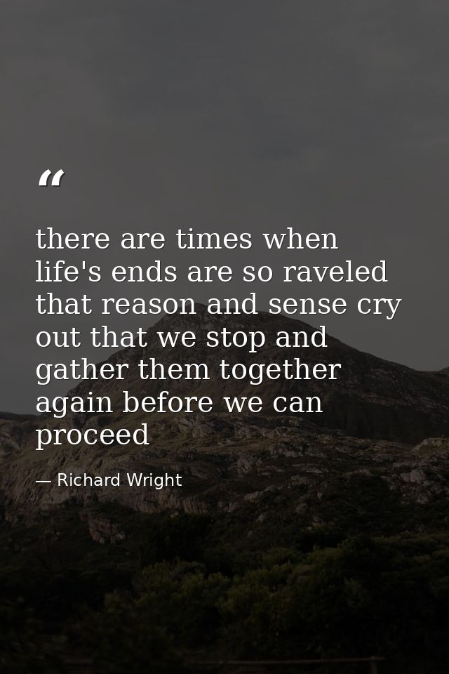 there are times when life's ends are so raveled that reason and sense cry out that we stop and gather them together agai — Richard Wright