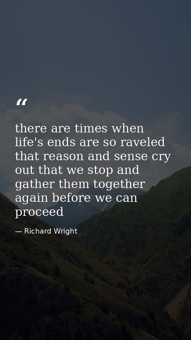 there are times when life's ends are so raveled that reason and sense cry out that we stop and gather them together agai — Richard Wright