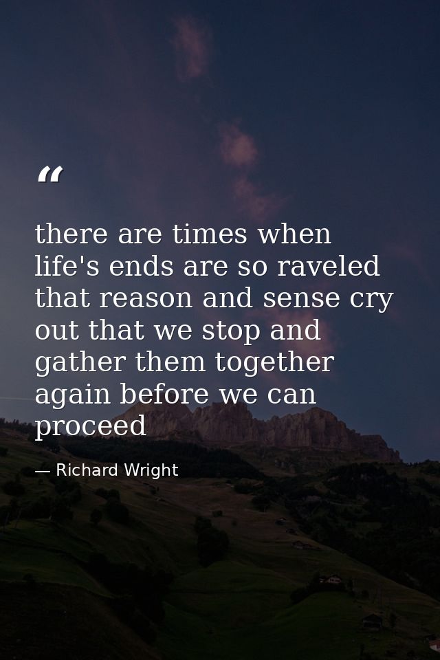 there are times when life's ends are so raveled that reason and sense cry out that we stop and gather them together agai — Richard Wright