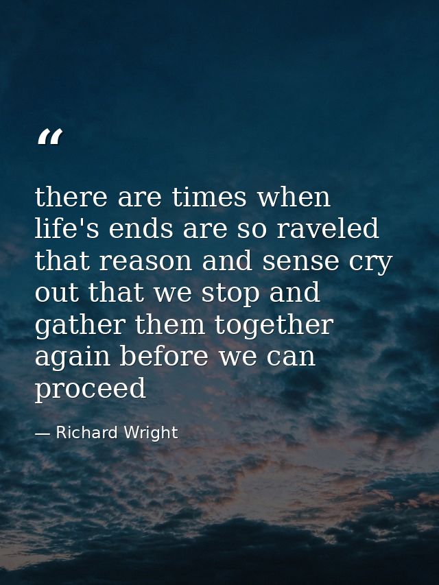 there are times when life's ends are so raveled that reason and sense cry out that we stop and gather them together agai — Richard Wright