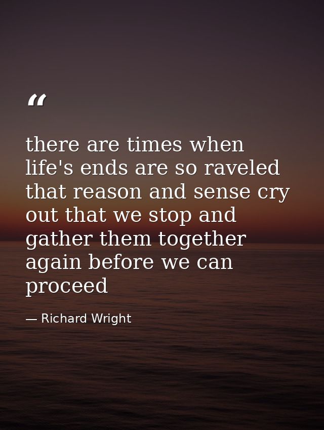 there are times when life's ends are so raveled that reason and sense cry out that we stop and gather them together agai — Richard Wright